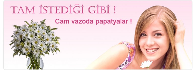 asdasd